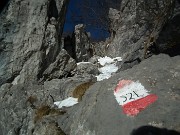 14 Seguendo il 521